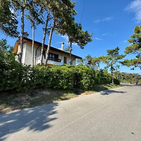 Apartmán Pinea
